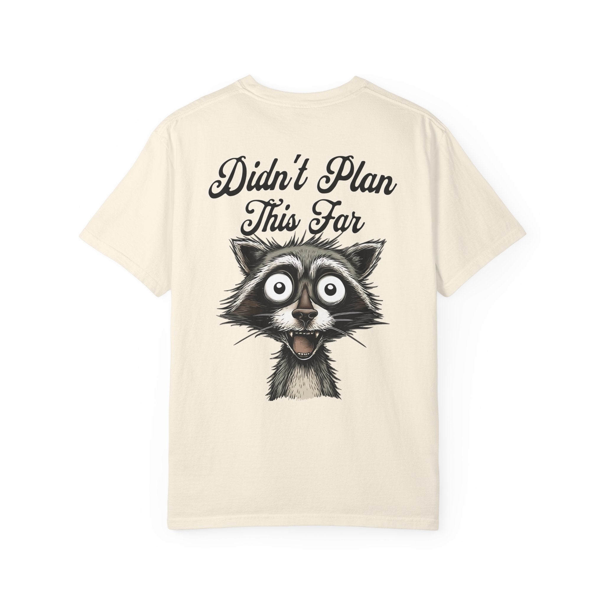 Didn't Plan This Far